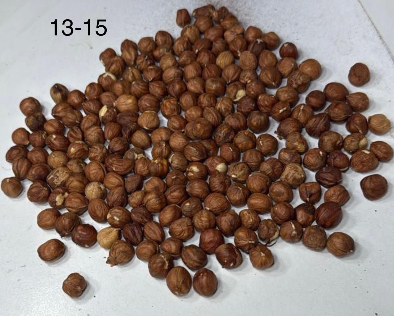 Premium Georgian Hazelnuts